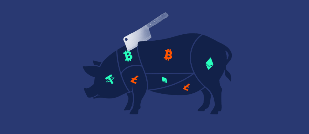 Blockchain forensic analysis of pig butchering crypto scam transaction patterns 2025